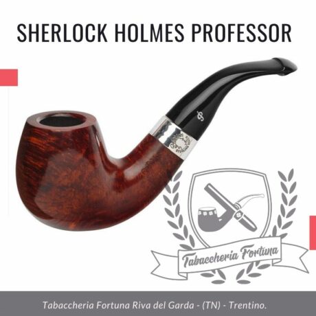 SHERLOCK HOLMES PROFESSOR