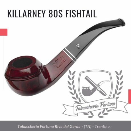 Killarney 80s Fishtail. Un bulldog di medie dimensioni, semi piegato.