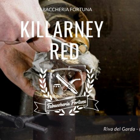 KILLARNEY RED