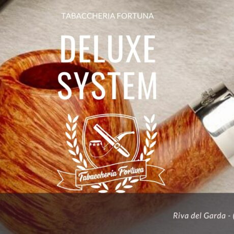 DELUXE SYSTEM